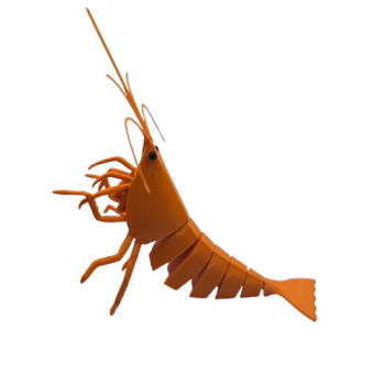 Preview: FlexiShrimp (Orange Sakura)